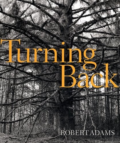 Turning Back (Hardcover)