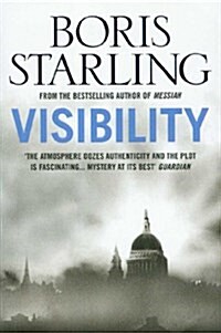 Visibility (Paperback)