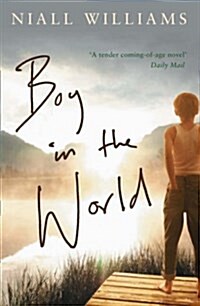 Boy in the World (Paperback)