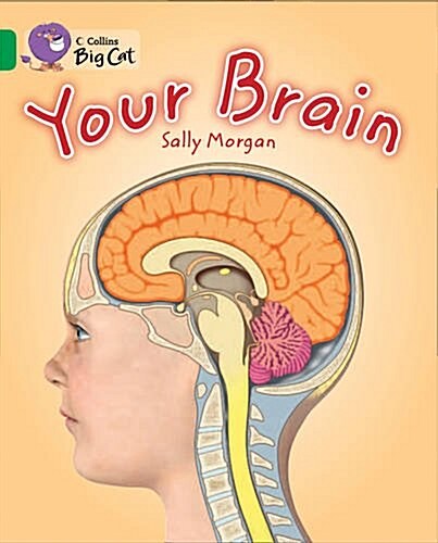 Your Brain : Band 15/Emerald (Paperback)