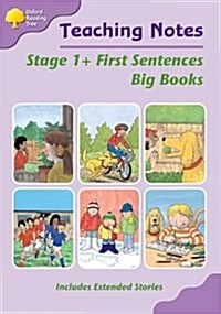 Oxford Reading Tree: Level 1+: First Sentences: Big Book Teaching Notes (Paperback)