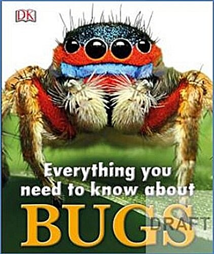 Everything You Need to Know About Bugs (Hardcover)