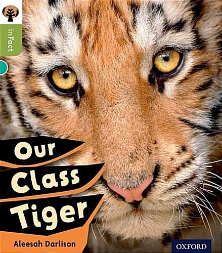 Oxford Reading Tree Infact: Level 7: Our Class Tiger (Paperback)