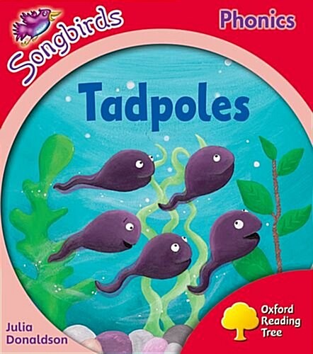 Oxford Reading Tree Songbirds Phonics: Level 4: Tadpoles (Paperback)