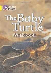 The Baby Turtle Workbook (Paperback)