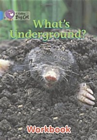 Whats Underground? Workbook (Paperback)