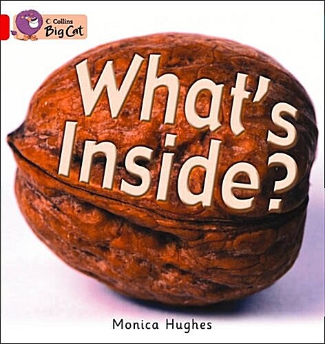 Whats Inside? Workbook (Paperback)