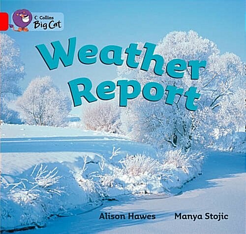 Weather Report Workbook (Paperback)