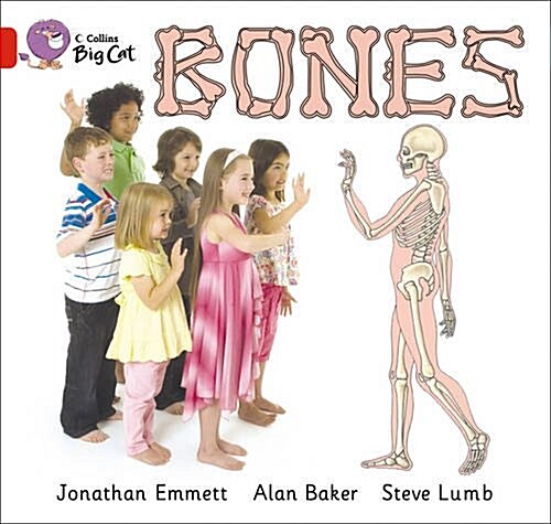 Bones Workbook (Paperback)