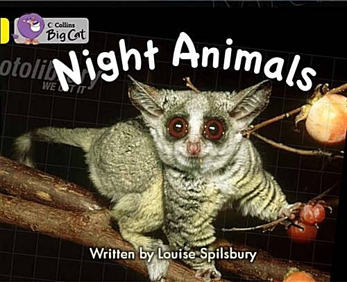 Night Animals Workbook (Paperback)