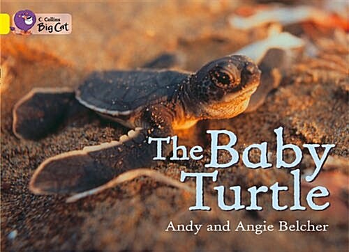 The Baby Turtle Workbook (Paperback)