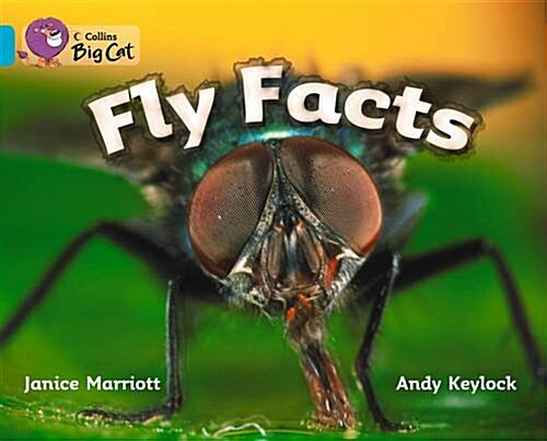 Fly Facts Workbook (Paperback)