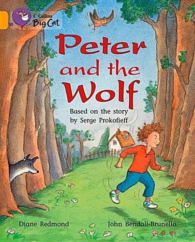 Peter and the Wolf Workbook (Paperback)
