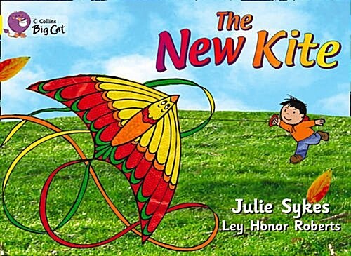 The New Kite (Paperback)