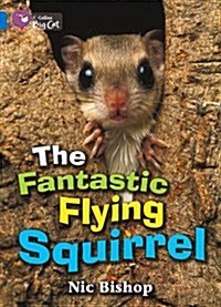 The Fantastic Flying Squirrel (Paperback)