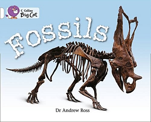 Fossils Workbook (Paperback)