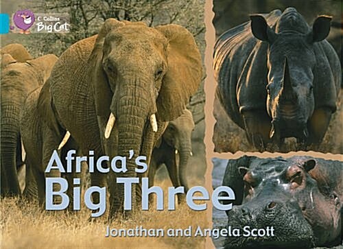[중고] Africa‘s Big Three Workbook (Paperback)