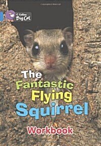 The Fantastic Flying Squirrel Workbook (Paperback)