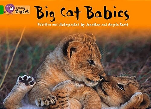 Big Cat Babies (Paperback)