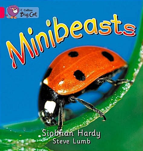 Minibeasts (Paperback)