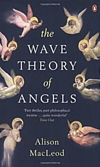 The Wave Theory of Angels (Paperback)