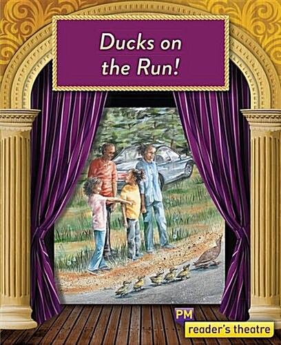 Ducks on the Run (Paperback)