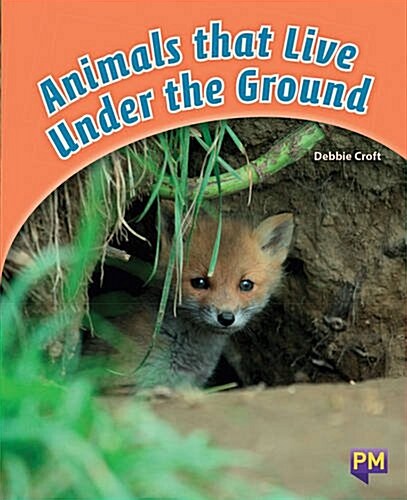 Animals That Live Under the Ground (Paperback)