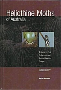 Heliothine Moths of Australia (Paperback, CD-ROM)