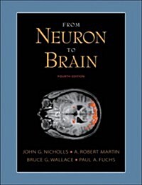 FROM NEURON TO BRAIN 4E (Hardcover)