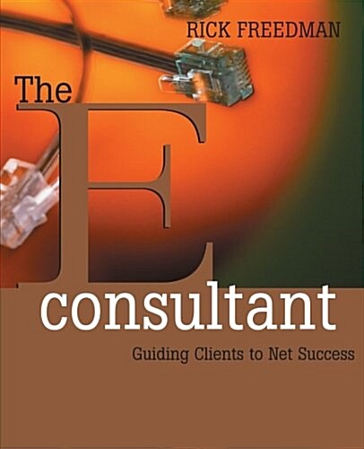 The Econsultant: Guiding Clients to Net Success (Paperback)