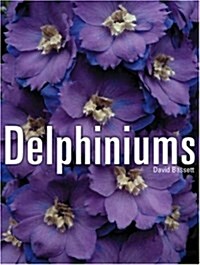Delphiniums (Hardcover)