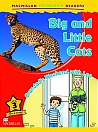 Macmillan Childrens Readers Big and Little Cats Level 3 (Paperback)