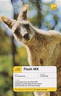 Flash MX 2004 (Paperback)