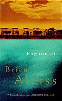 Forgotten Life (Paperback)