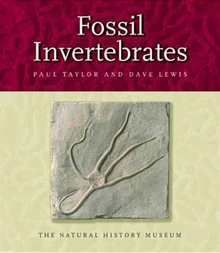 Fossil Invertebrates (Hardcover)
