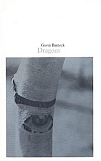Dragons (Paperback)