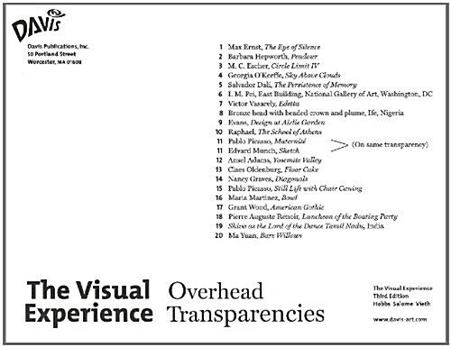 Visual Experience (Transparency)
