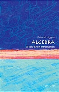 Algebra: A Very Short Introduction (Paperback)