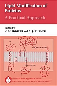 Lipid Modification of Proteins : A Practical Approach (Paperback)