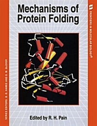 Mechanisms of Protein Folding (Paperback)