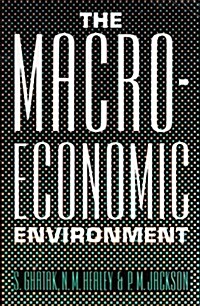 MACRO ECONOMIC ENVIRONMENT (Paperback)