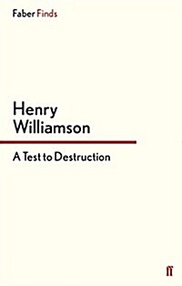 A Test to Destruction (Paperback, Main)