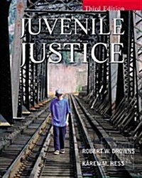 Juvenile Justice (Hardcover, 3 Rev ed)