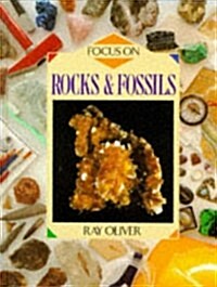 Focus on: Rocks and Fossils (Hardcover)