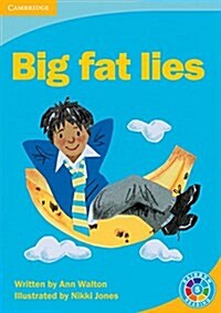 Big Fat Lies : Whats the Plot? (Paperback)