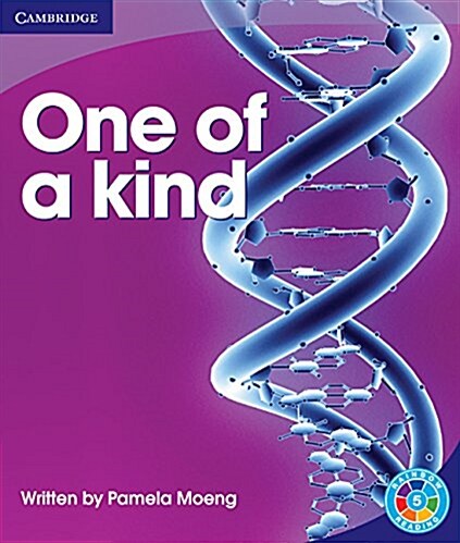 One of a Kind : Pattern (Paperback)