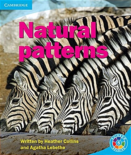 Natural Patterns : Pattern (Paperback)
