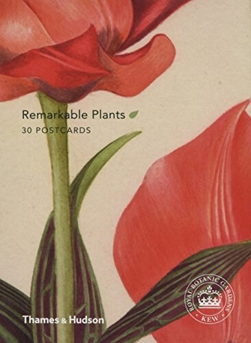 Remarkable Plants: Box of 30 Postcards (Postcard Book/Pack)