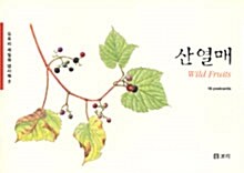 산열매