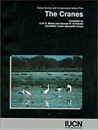 The Cranes (Paperback)
